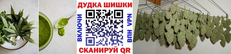 Купить где  Зеленоградск  Canna-Cookies конопля 