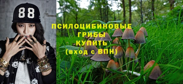 винт Зеленокумск