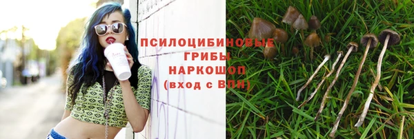 apvp Зерноград