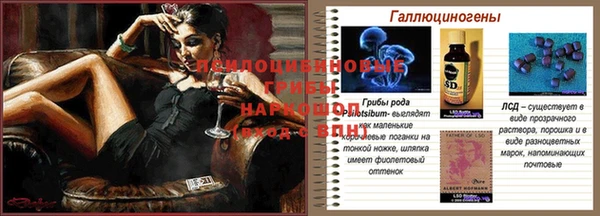 apvp Зерноград