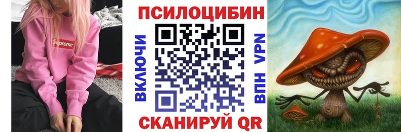 Купить закладки  Зеленоградск  Галлюциногенные грибы Psilocybe 
